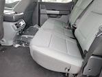 2025 Ford F-150 SuperCrew Cab 4x4 Pickup for sale #334680 - photo 10