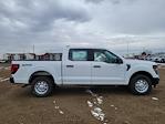 2025 Ford F-150 SuperCrew Cab 4x4 Pickup for sale #334722 - photo 3
