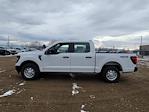 2025 Ford F-150 SuperCrew Cab 4x4 Pickup for sale #334722 - photo 6