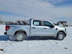 2025 Ford F-150 SuperCrew Cab 4x4 Pickup for sale #334725 - photo 3