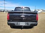 2025 Ford F-150 SuperCrew Cab 4x4 Pickup for sale #334763 - photo 9