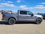 2025 Ford F-150 SuperCrew Cab 4x4 Pickup for sale #334782 - photo 3