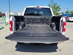 2018 Ford F-150 SuperCrew Cab 4x2 Pickup for sale #334783D - photo 13