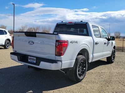 2025 Ford F-150 SuperCrew Cab 4x4 Pickup for sale #334821 - photo 2