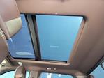 2023 Ford F-350 Crew Cab DRW 4x4 Pickup for sale #334824A - photo 13