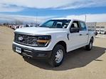 2025 Ford F-150 SuperCrew Cab 4x4 Pickup for sale #334833 - photo 4