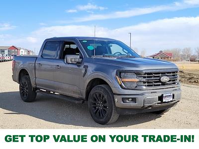 2025 Ford F-150 SuperCrew Cab 4x4 Pickup for sale #334849 - photo 1