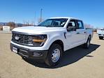 2025 Ford F-150 SuperCrew Cab 4x4 Pickup for sale #334852 - photo 4