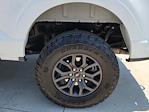 2024 Ford F-150 SuperCrew Cab 4x4 Pickup for sale #334889A - photo 16