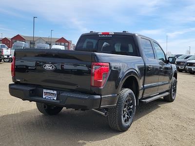 2025 Ford F-150 SuperCrew Cab 4x4 Pickup for sale #334897 - photo 2