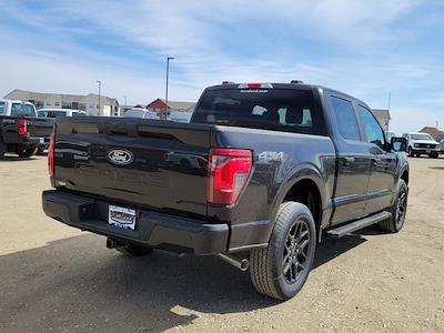 2025 Ford F-150 SuperCrew Cab 4x4 Pickup for sale #334913 - photo 2
