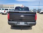 2025 Ford F-150 SuperCrew Cab 4x4 Pickup for sale #334913 - photo 9