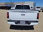 2025 Ford F-150 SuperCrew Cab 4x4 Pickup for sale #334916 - photo 9