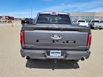 2025 Ford F-150 SuperCrew Cab 4x4 Pickup for sale #334933 - photo 9