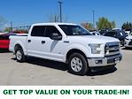 2017 Ford F-150 SuperCrew Cab 4x2 Pickup for sale #334981A - photo 1