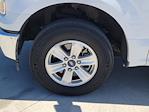 2017 Ford F-150 SuperCrew Cab 4x2 Pickup for sale #334981A - photo 14