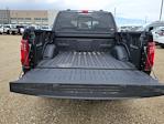 2025 Ford F-150 SuperCrew Cab 4x4 Pickup for sale #334982 - photo 12