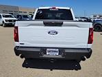 2025 Ford F-150 SuperCrew Cab 4x4 Pickup for sale #334991 - photo 9