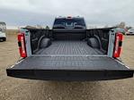 2025 Ford F-350 Crew Cab SRW 4x4 Pickup for sale #334992 - photo 14