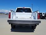 2025 Ford F-150 SuperCrew Cab 4x4 Pickup for sale #334997 - photo 10