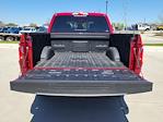 2025 Ford F-150 SuperCrew Cab 4x4 Pickup for sale #335030 - photo 10