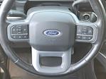 2023 Ford F-450 Crew Cab DRW 4x4 Pickup for sale #335047A - photo 10