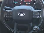 2023 Ford F-450 Crew Cab DRW 4WD Pickup for sale #335047B - photo 10