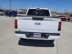 2025 Ford F-150 SuperCrew Cab 4x4 Pickup for sale #335080 - photo 9
