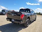 2025 Ford F-150 SuperCrew Cab 4x4 Pickup for sale #335142 - photo 2