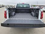 2024 Ford F-150 Regular Cab 4x4 Pickup for sale #335148 - photo 12