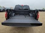 2025 Ford F-150 SuperCrew Cab 4x4 Pickup for sale #335163 - photo 13