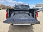 2025 Ford F-150 SuperCrew Cab 4x4 Pickup for sale #335186 - photo 11
