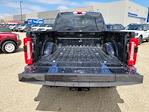 2025 Ford F-250 Crew Cab 4x4 Pickup for sale #335215 - photo 10