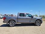 2025 Ford F-150 SuperCrew Cab 4x4 Pickup for sale #335222 - photo 3