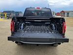 2025 Ford F-150 SuperCrew Cab 4x4 Pickup for sale #335232 - photo 11