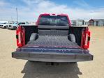 2025 Ford F-250 Crew Cab 4x4 Pickup for sale #335248 - photo 12
