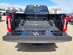 2025 Ford F-250 Crew Cab 4x4 Pickup for sale #335260 - photo 10