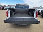 2025 Ford F-150 SuperCrew Cab 4x4 Pickup for sale #335268 - photo 10