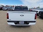 2025 Ford F-150 SuperCrew Cab 4x4 Pickup for sale #335268 - photo 9