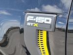 2025 Ford F-150 SuperCrew Cab 4x4 Pickup for sale #335269 - photo 10