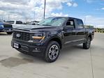 2025 Ford F-150 SuperCrew Cab 4x4 Pickup for sale #335269 - photo 4