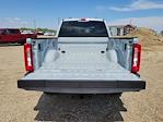 2025 Ford F-350 Crew Cab SRW 4x4 Pickup for sale #335289 - photo 11