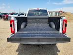 2025 Ford F-350 Crew Cab SRW 4x4 Pickup for sale #335290 - photo 12