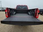 2025 Ford F-350 Crew Cab SRW 4x4 Pickup for sale #335326 - photo 14