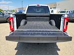 2025 Ford F-350 Crew Cab SRW 4x4 Pickup for sale #335332 - photo 11