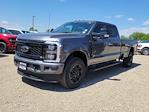 2025 Ford F-350 Crew Cab SRW 4x4 Pickup for sale #335333 - photo 4