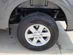 2023 Ford F-150 SuperCrew Cab 4WD Pickup for sale #335347B - photo 15