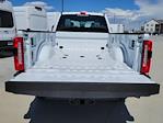 2025 Ford F-350 Crew Cab SRW 4x4 Pickup for sale #335355 - photo 10