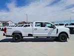 2025 Ford F-350 Crew Cab SRW 4x4 Pickup for sale #335355 - photo 3