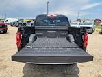 2025 Ford F-150 SuperCrew Cab 4x4 Pickup for sale #335362 - photo 11